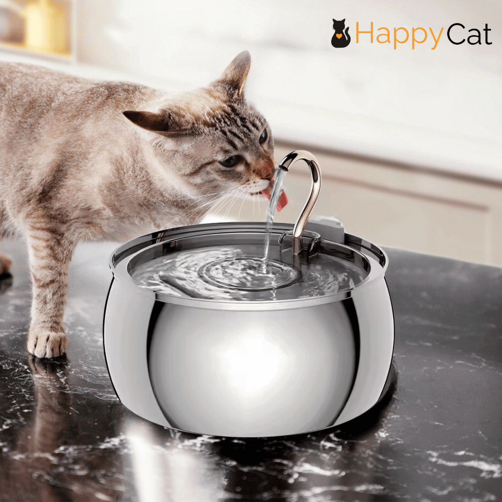 HappyCat by Novares - Der innovative Trinkbrunnen für Katzen