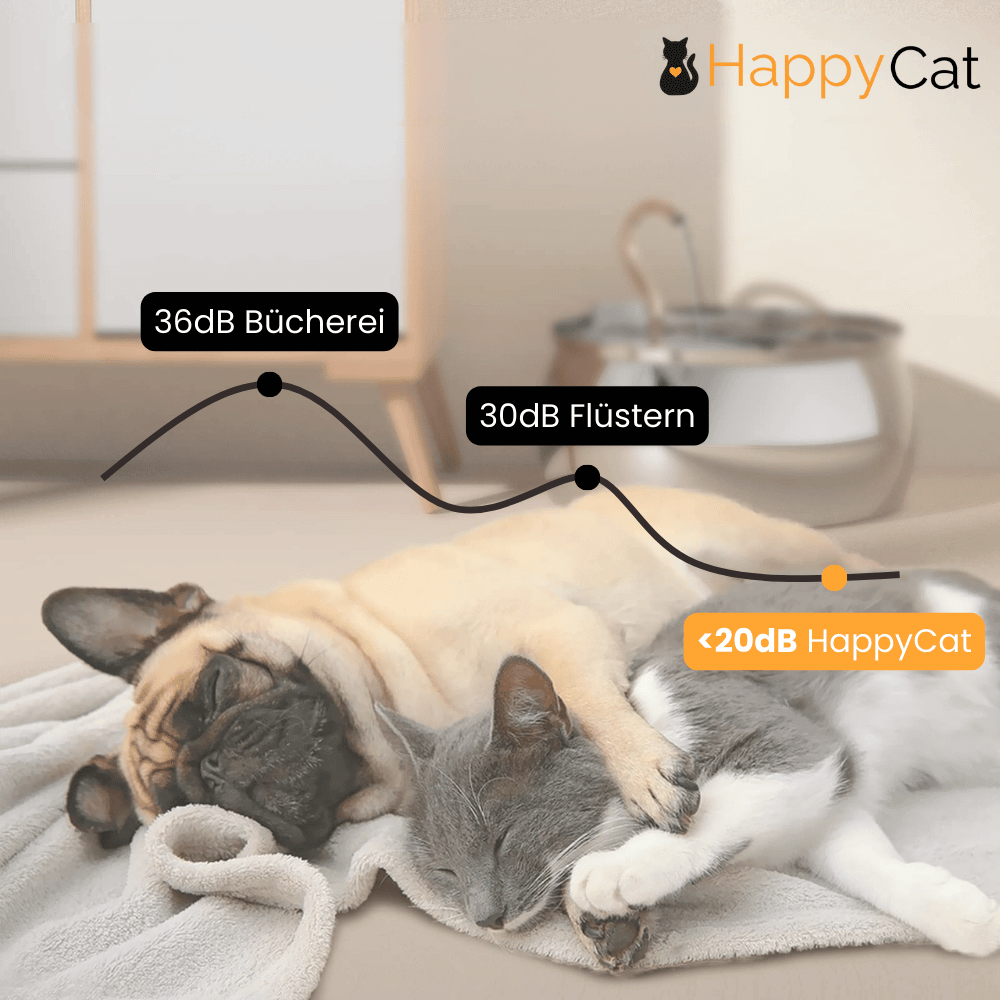 HappyCat by Novares - Der innovative Trinkbrunnen für Katzen